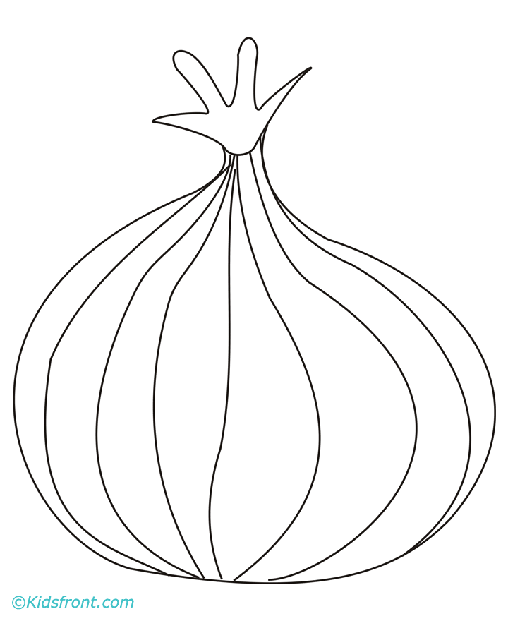 Onion Drawing Images & Pictures - Becuo