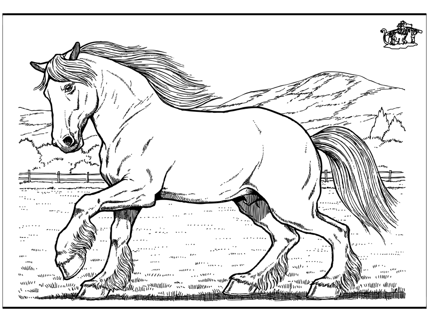 Horse Coloring Page Horses Run In The Pasture