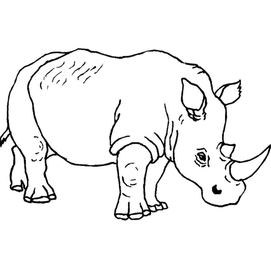 Safari Animal Coloring Page Images - Coloring Home