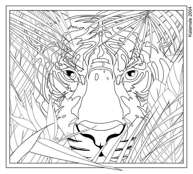 Hard Coloring Pages Of Animals To Print - Coloring Home