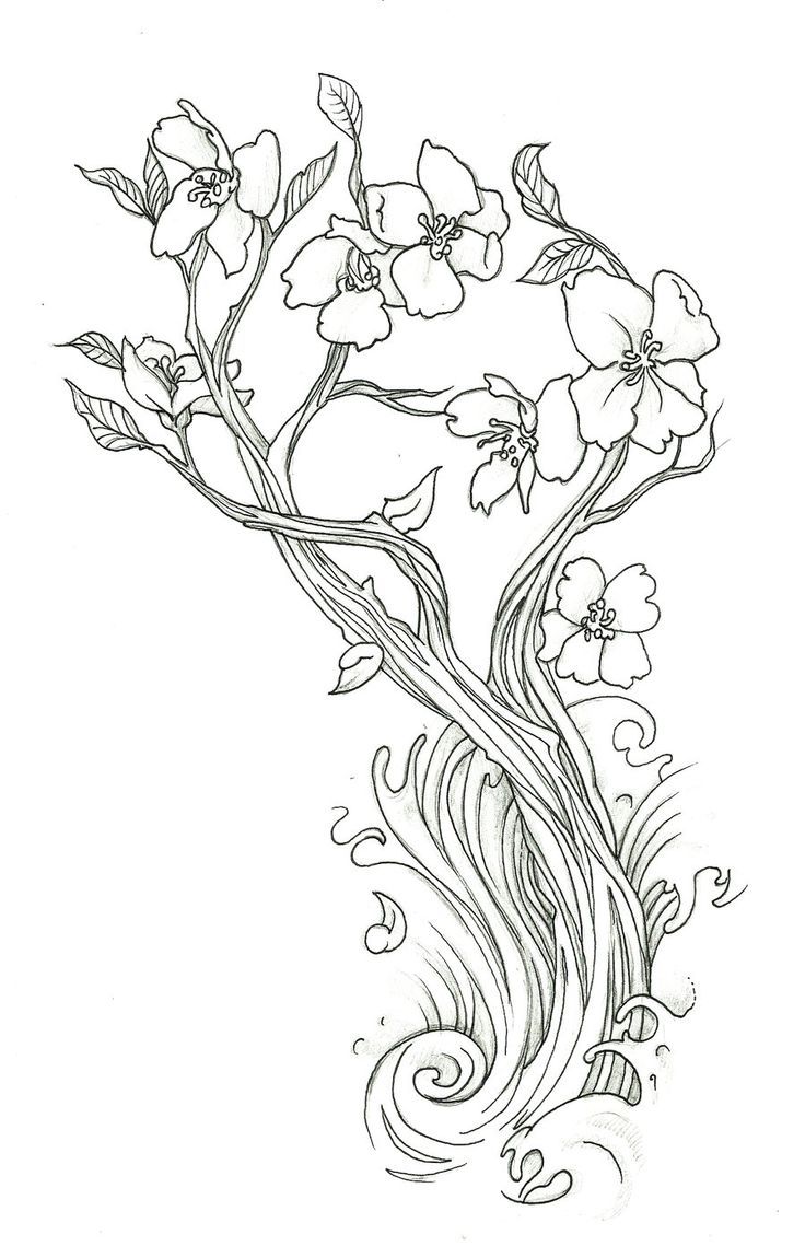 Cherry Tree In The Spring Coloring Page - Coloring Pages For All Ages