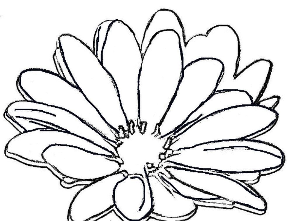 flower mandala coloring pages - Printable Kids Colouring Pages