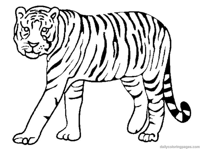 Amazing of Perfect Printable Tiger Coloring Pages On Tige #1375
