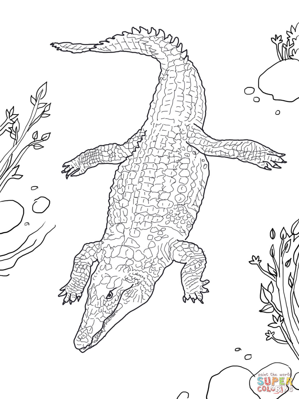 Baby Crocodile coloring page | Free Printable Coloring Pages