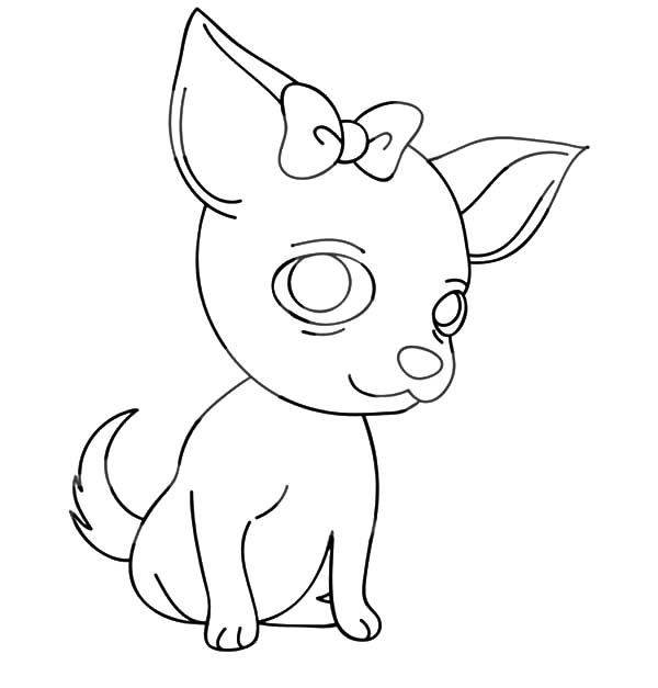chihuahua-coloring-pages-coloring-home