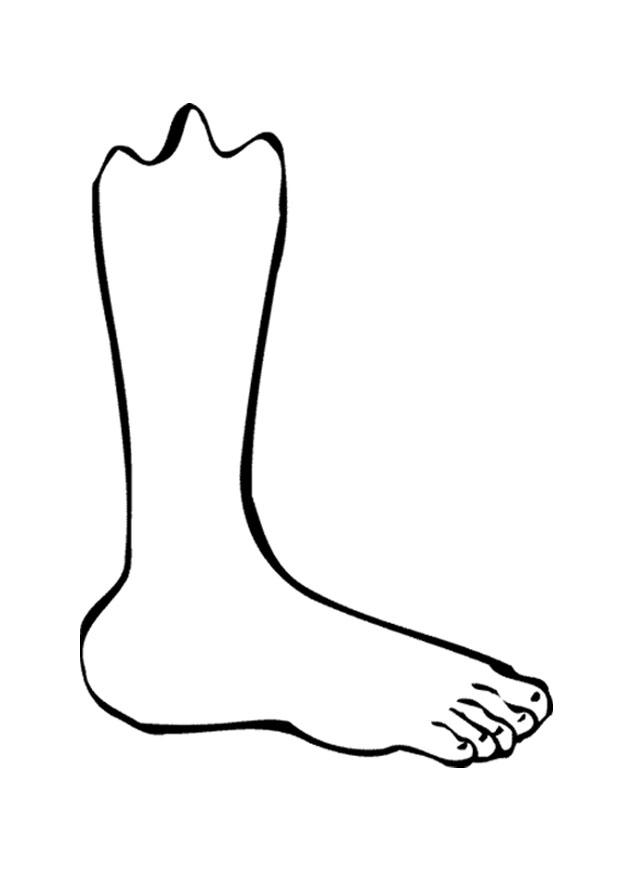 Coloring page foot - img 9521.