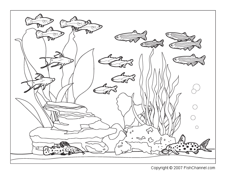 FishChannel Coloring Pages