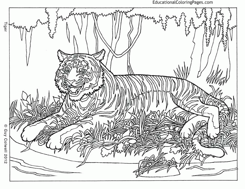 Difficult Animal Coloring Pages - Coloring Home