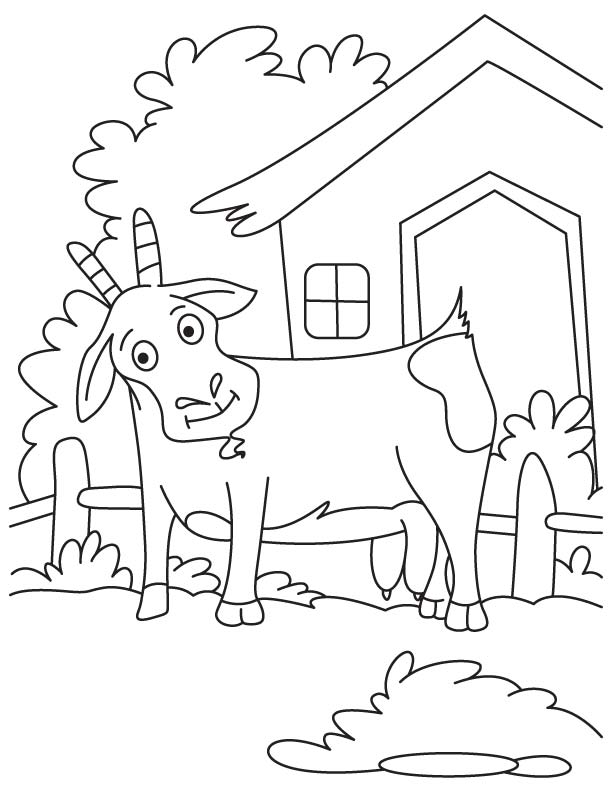 Great goat coloring page | Download Free Great goat coloring page ...
