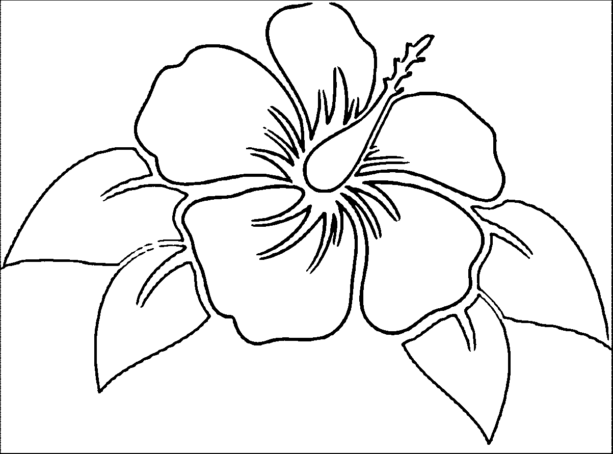 Hibiscus Flower Coloring Page - Coloring Home