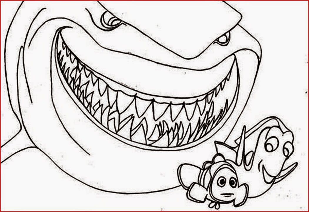 Bruce The Shark - Coloring Pages for Kids and for Adults