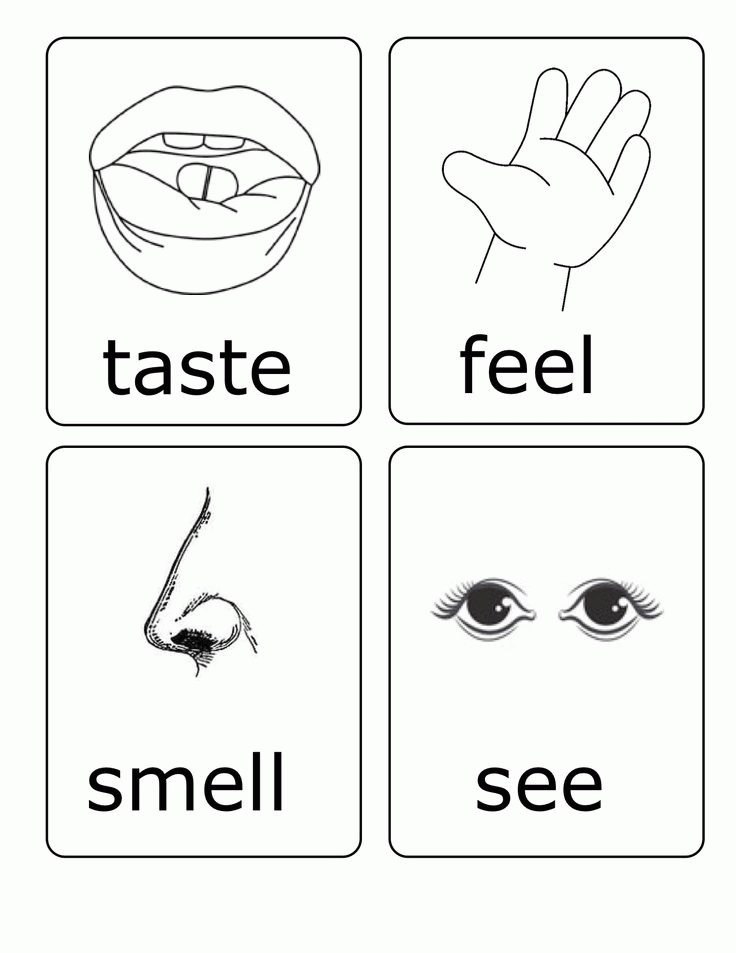 Preschool Five Senses Coloring Pages Printable My 5 Senses. 5