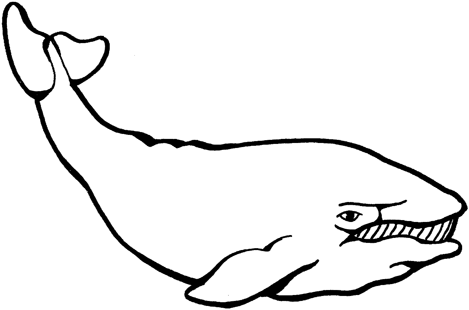 Free Whale Images For Kids, Download Free Clip Art, Free Clip Art on  Clipart Library