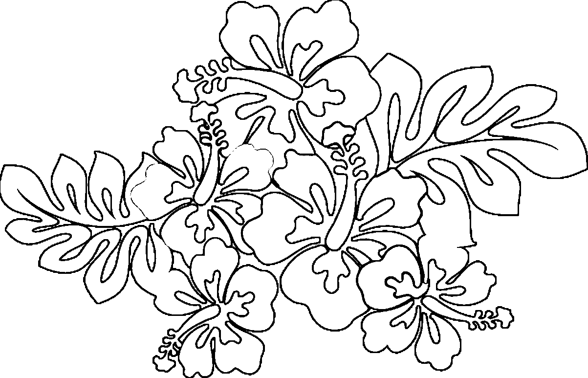 Coloring Pages Of Hawaiian Flowers Coloring Home