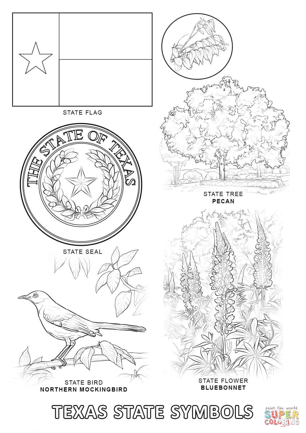 Texas State Symbols coloring page | Free Printable Coloring Pages