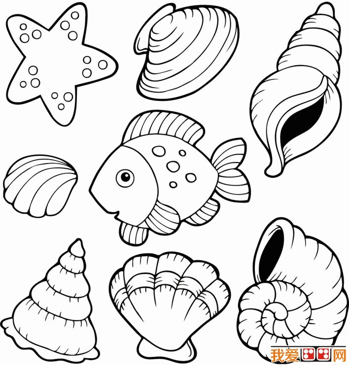Beach Shells Coloring Pages - Coloring Home