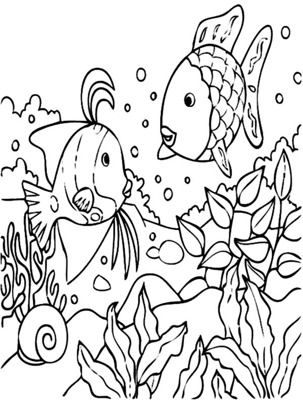 Tropical Fish Coral Reef Coloring Pages | Kids Play Color