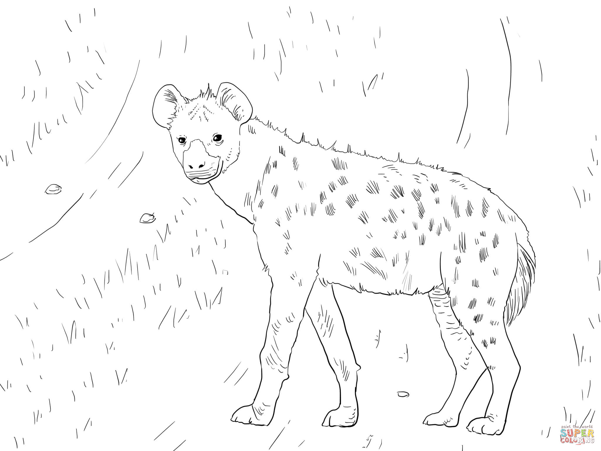 African Spotted Hyena coloring page | Free Printable Coloring Pages