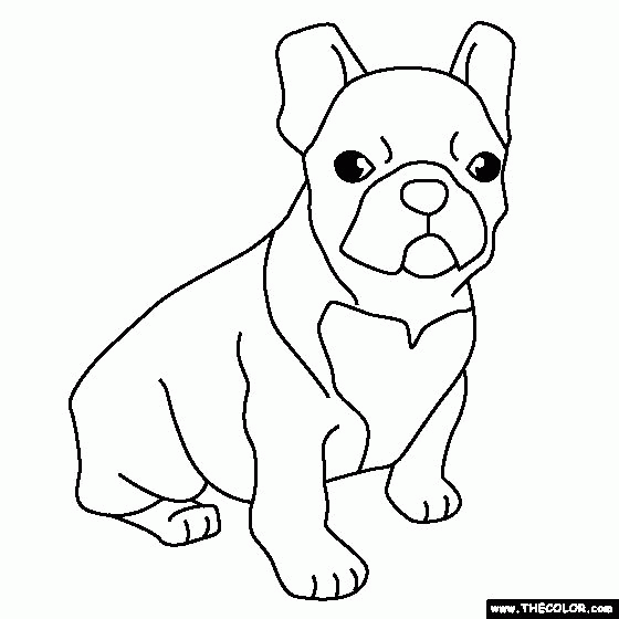 Bulldog Coloring Picture - Coloring Pages for Kids and for Adults