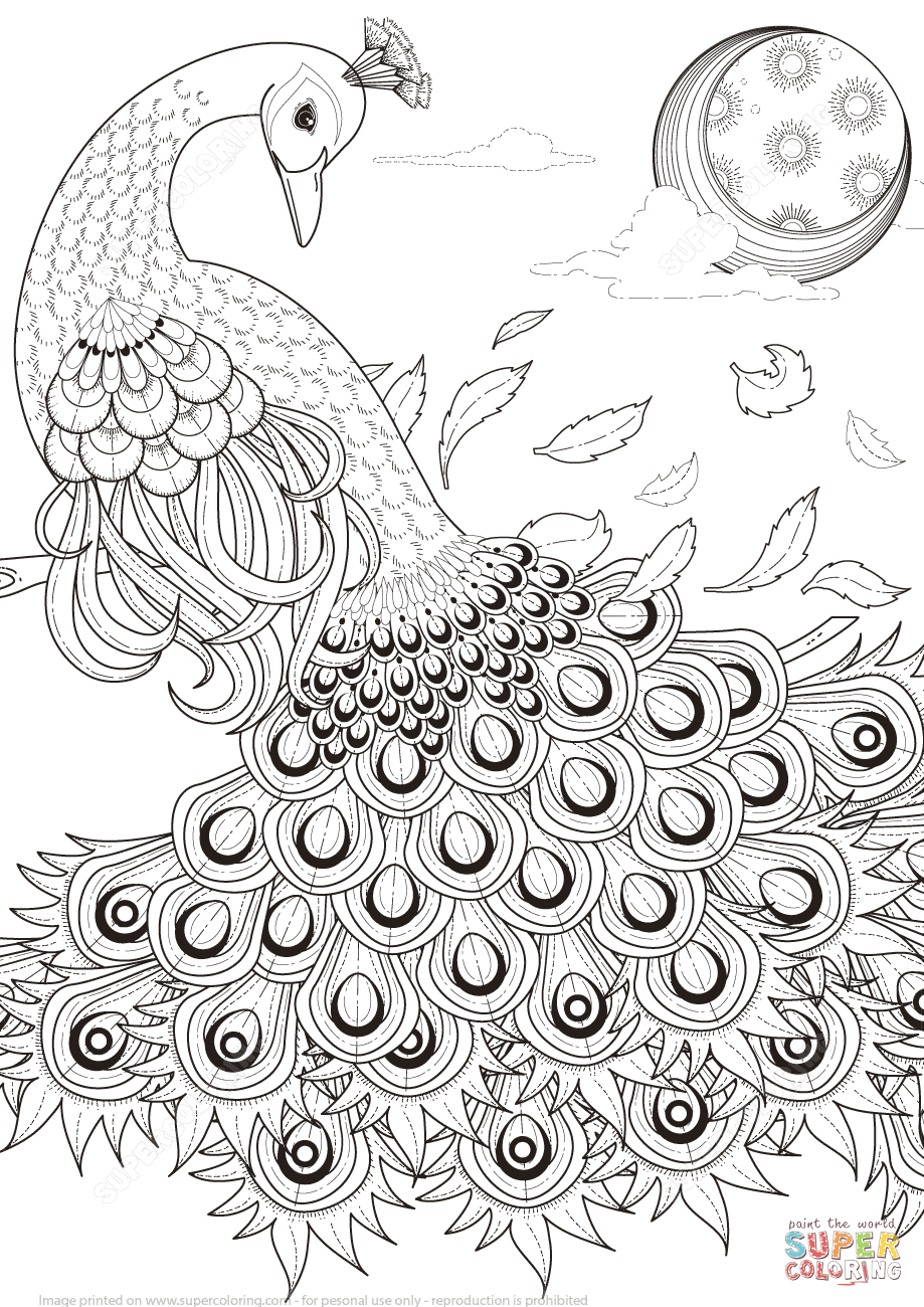 Colored Peacock Coloring Pages Boringpop