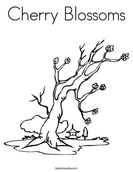 Cherry Blossoms Coloring Page - Twisty Noodle