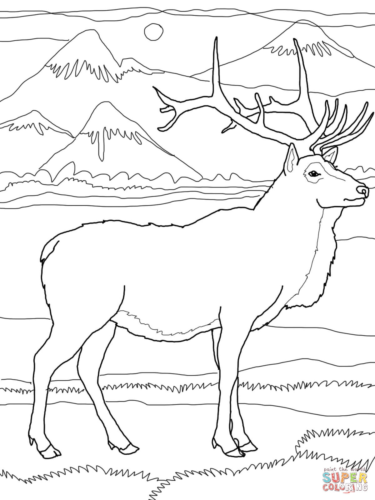 Elk or Wapiti coloring page | Free Printable Coloring Pages