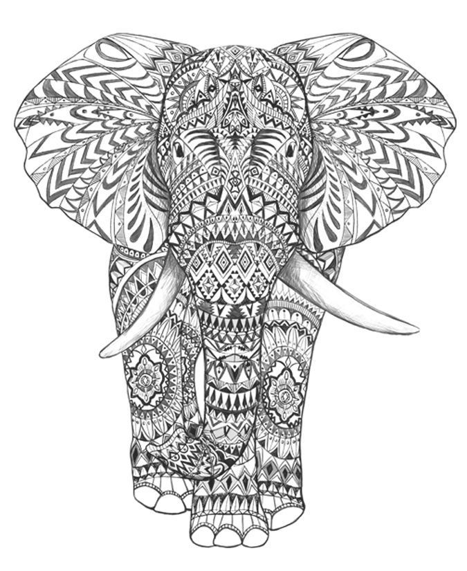 Aztec Elephant Coloring Page Sketch Coloring Page