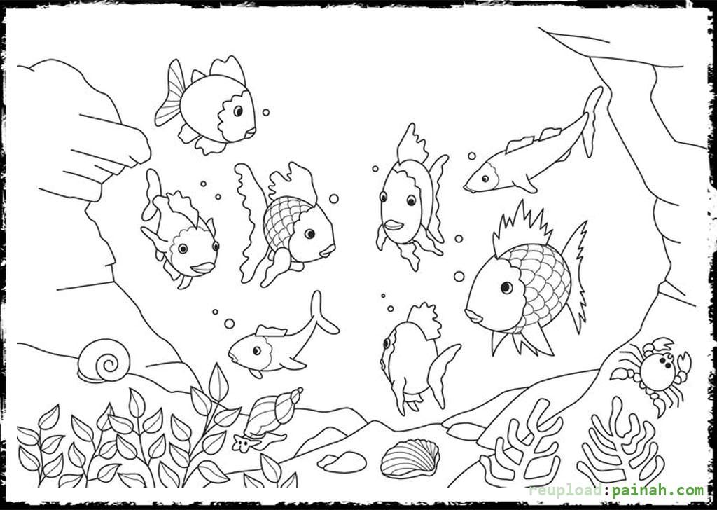 Rainbow Fish Printable Coloring Page Coloring Home