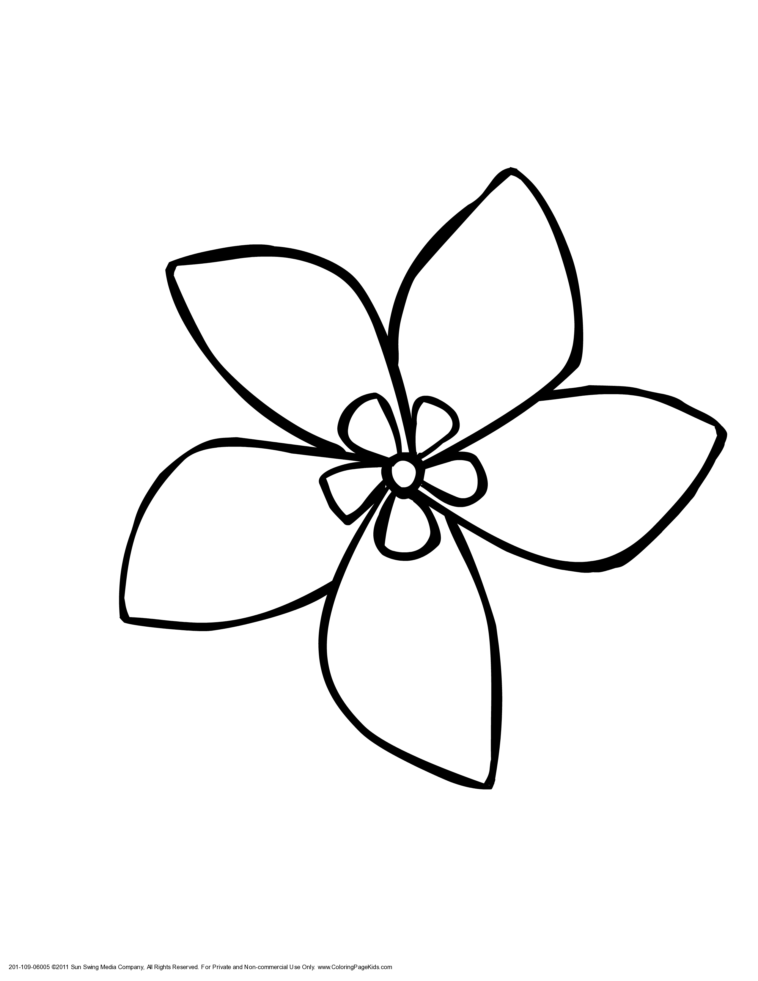 Indian Jasmine Flower Coloring Page