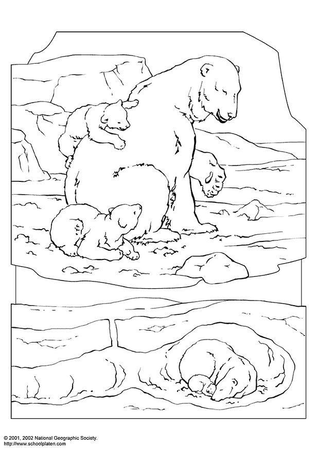Little Bear Coloring Book - High Quality Coloring Pages