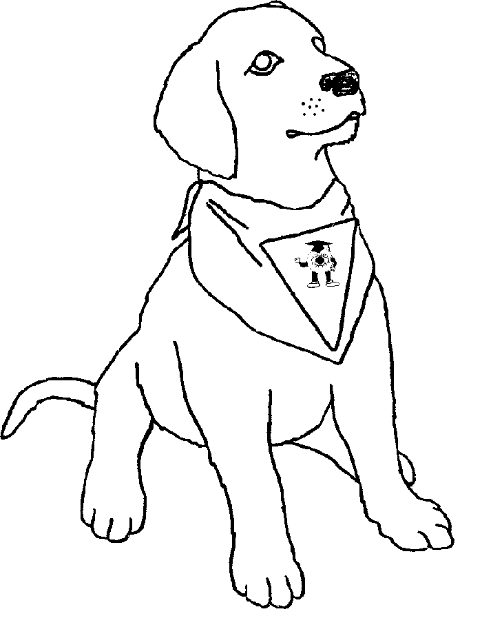 dog-breeds-coloring-pages-coloring-home