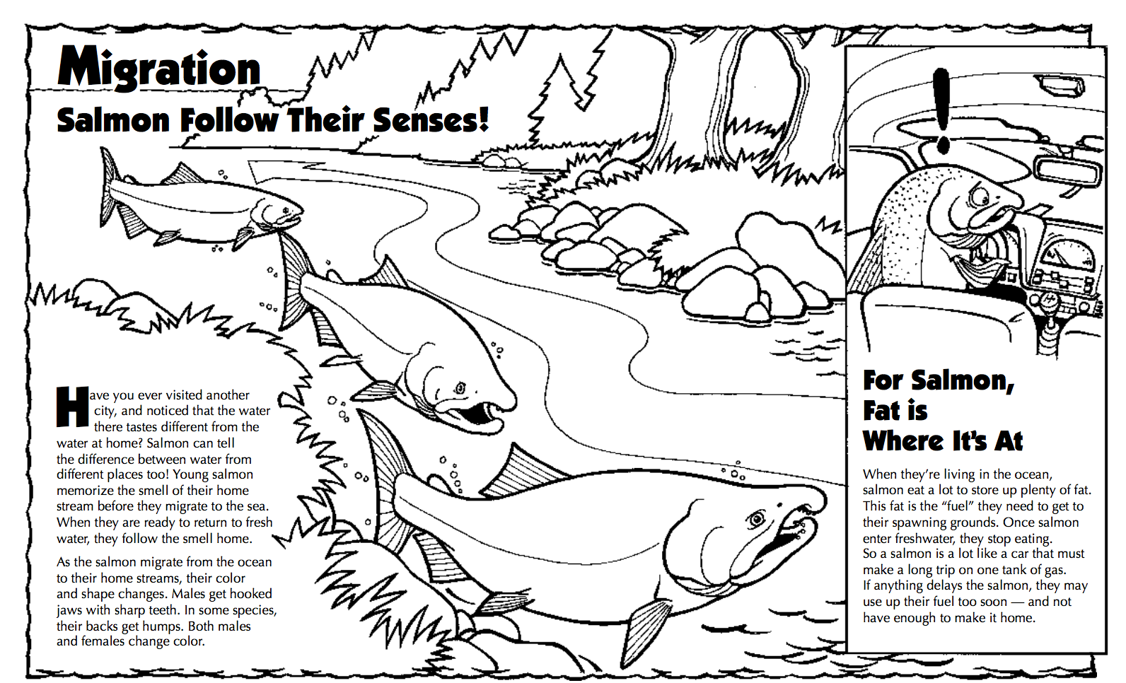 Fond of fish? A Few Free Coloring Books ...