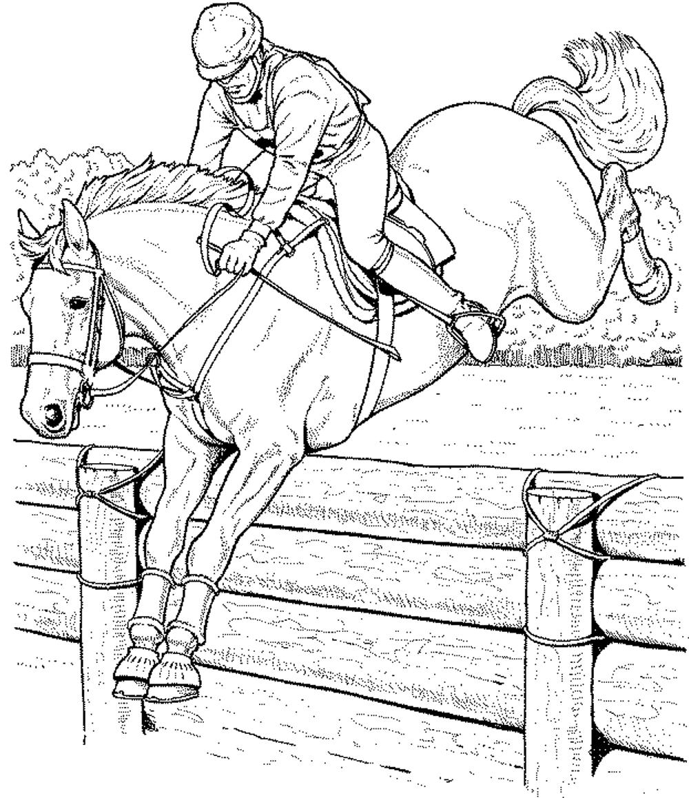 Race Horse Coloring Page - Coloring Home