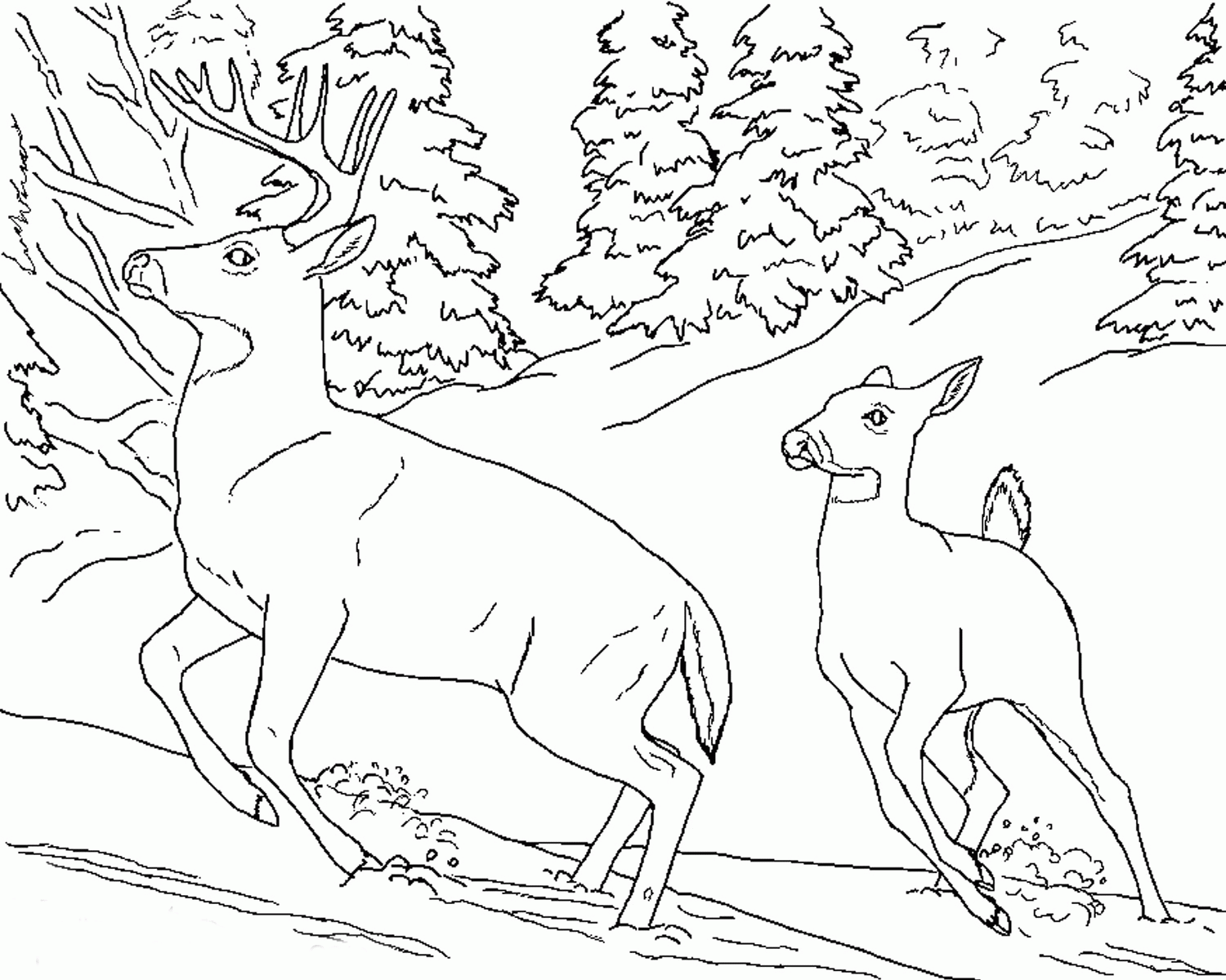coloring pages animals. free animal coloring pages. freeart39s ...
