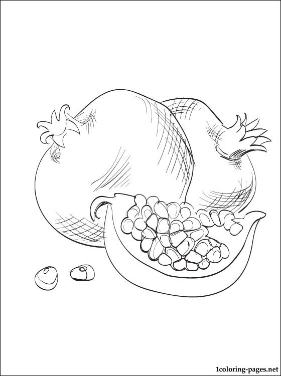 Pomegranate coloring page | Coloring pages