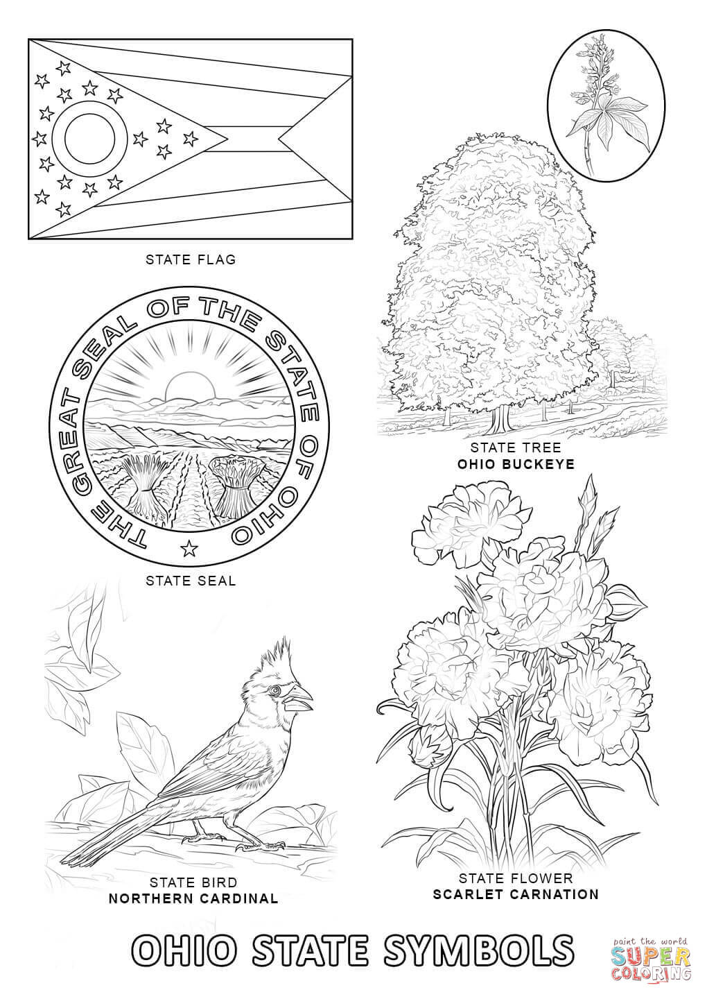 Ohio State Symbols coloring page | Free Printable Coloring Pages