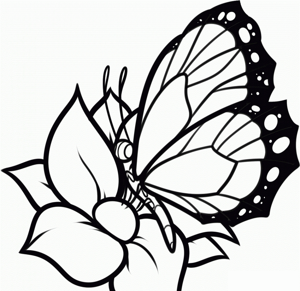 Butterfly With Flowers Coloring Pages Coloring Pages Flowers And