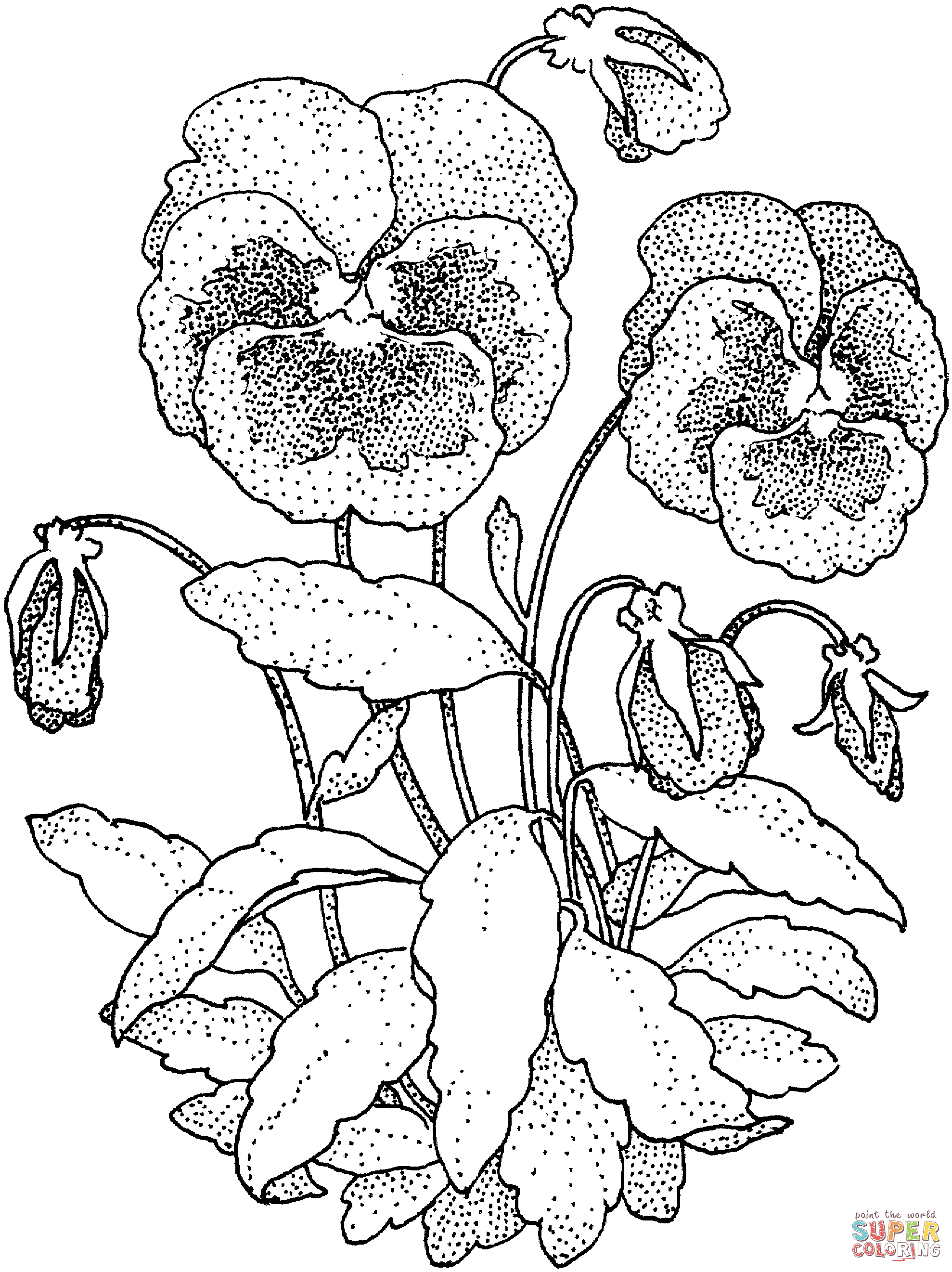 Violet coloring pages | Free Coloring Pages