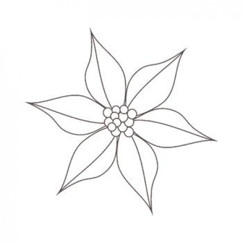 Poinsettia Outline - Coloring Home