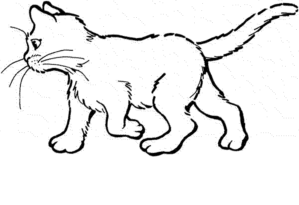 kitty cat colouring pages page 2. baby cat coloring pages coloring ...