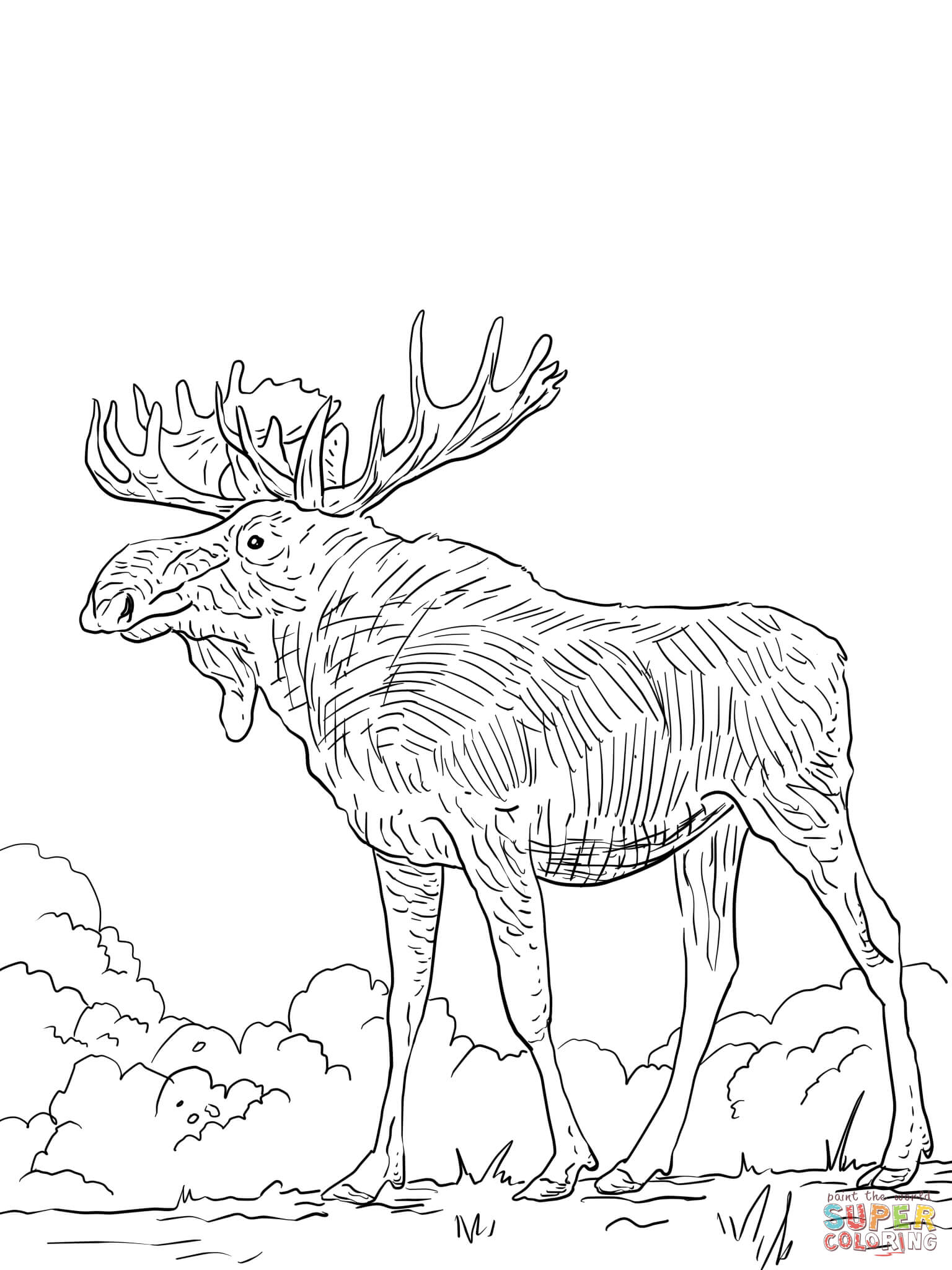 Free Printable Elk Coloring Pages - Coloring Home