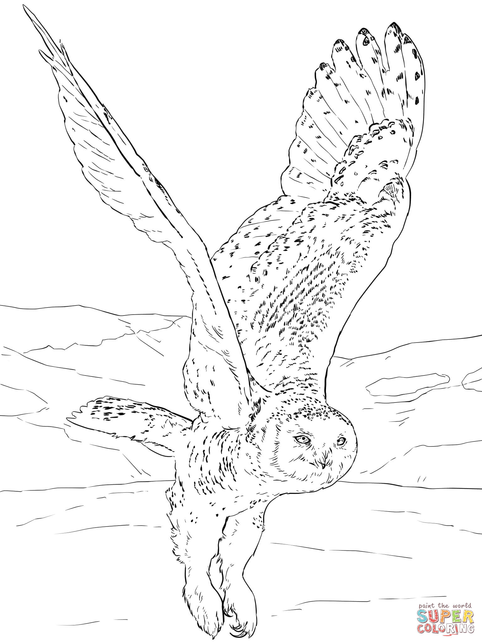 Flying Owl Coloring Pages - Coloring Home