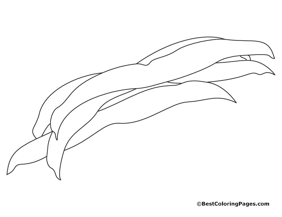 Beans coloring pages | Download Free Beans coloring pages for kids ...