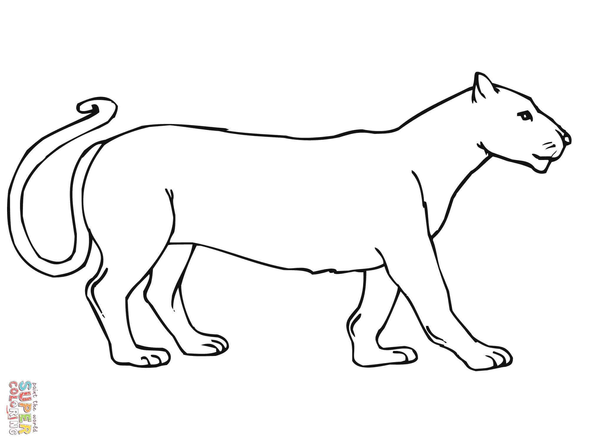 Coloring Pages Mountain Lion : Pin on Coloring pages / You might also