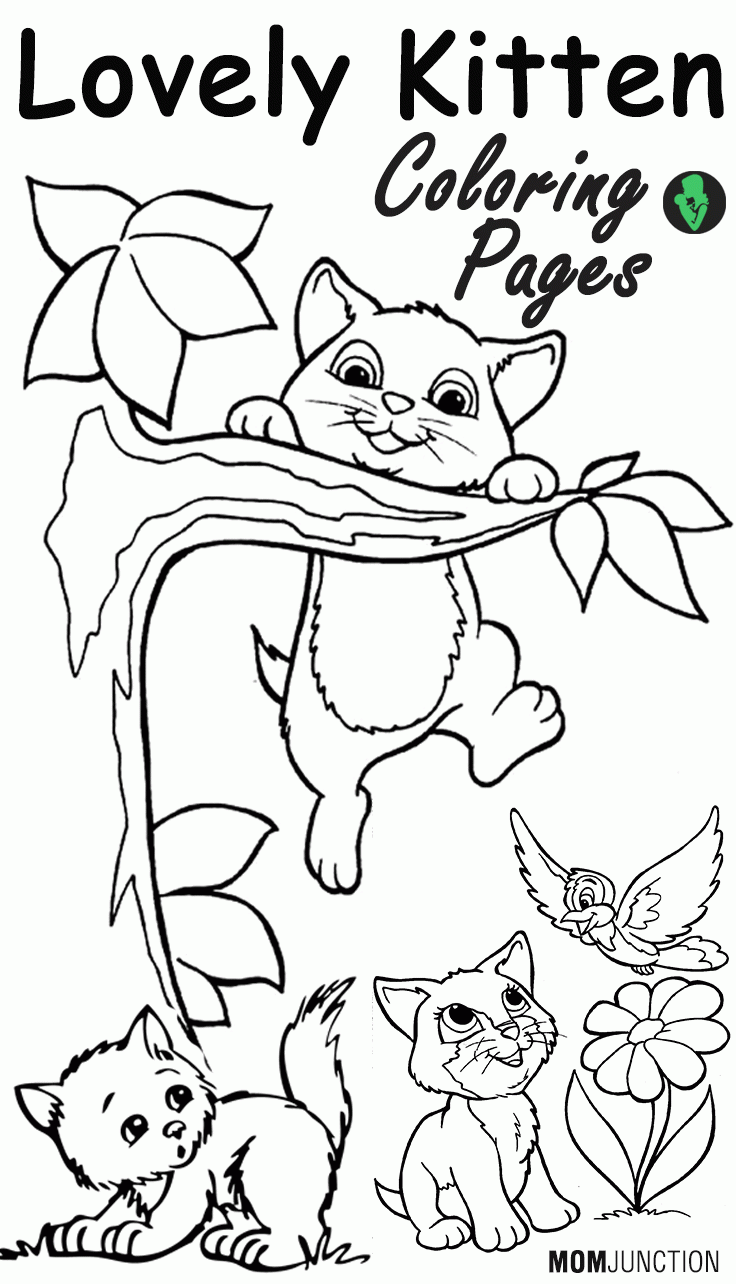 Newborn Kittens Coloring Pages Coloring Home