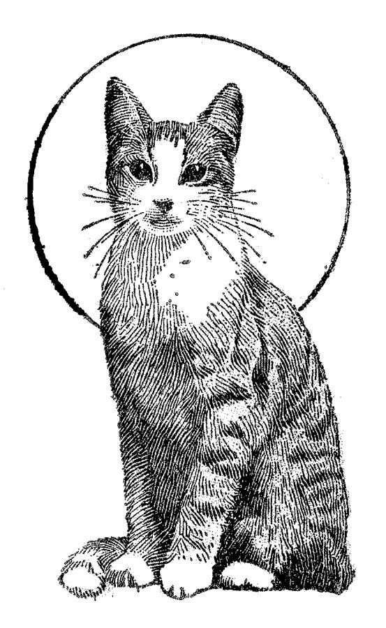Cat Coloring Pages - 3 | Cat | Pinterest | Coloring Pages ...