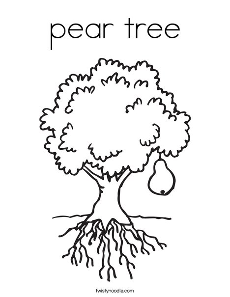 pear tree Coloring Page - Twisty Noodle