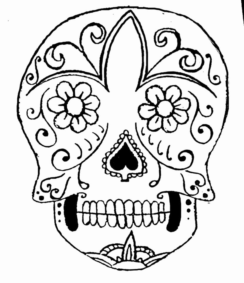 11 Pics Easy Skull Coloring Pages Draw Sugar