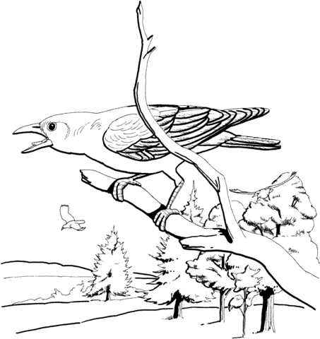 Perched Crow coloring page | Free Printable Coloring Pages