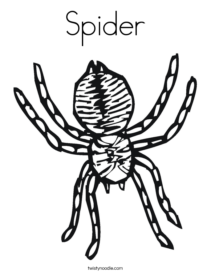 Spider Coloring Pages - Twisty Noodle